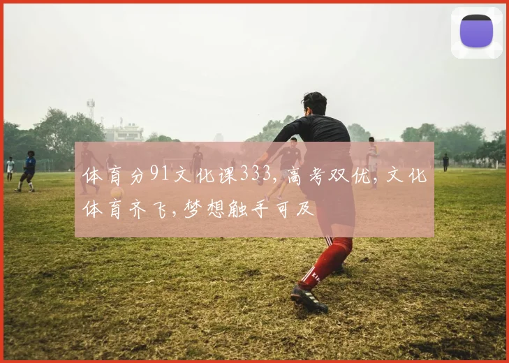 体育分91文化课333,高考双优,文化体育齐飞,梦想触手可及