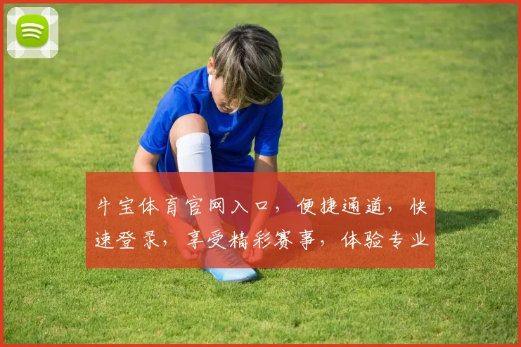 牛宝体育官网入口，便捷通道，快速登录，享受精彩赛事，体验专业体育乐趣，一触即达
