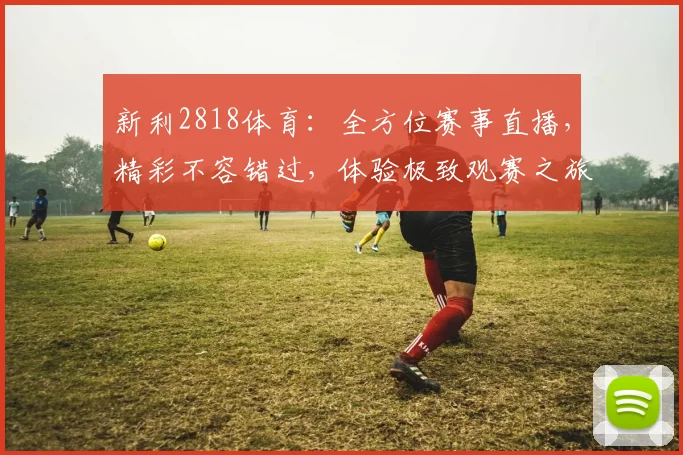 新利2818体育：全方位赛事直播，精彩不容错过，体验极致观赛之旅，尽在新利2818