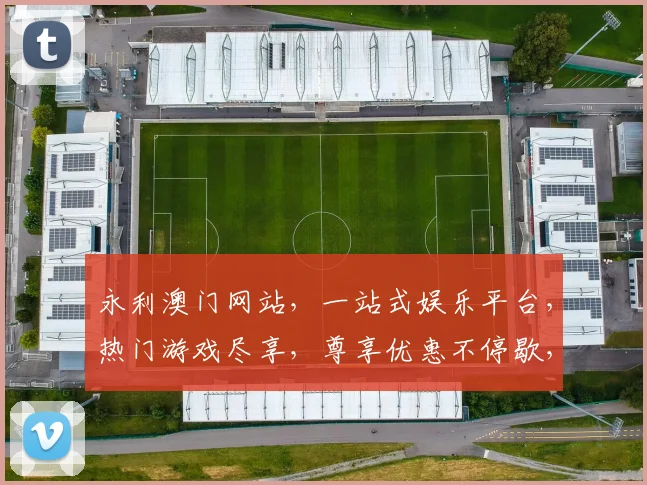 永利澳门网站，一站式娱乐平台，热门游戏尽享，尊享优惠不停歇，诚邀体验