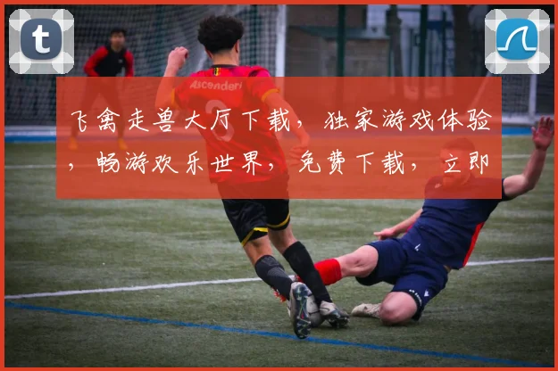 飞禽走兽大厅下载，独家游戏体验，畅游欢乐世界，免费下载，立即开启